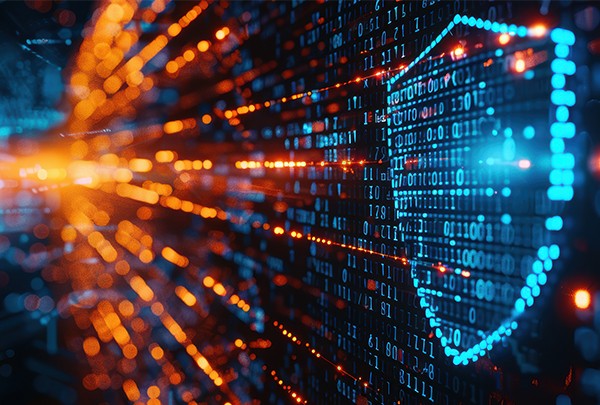 Siguranța datelor și monitorizarea progresului – Pilonii invizibili ai platformei Digipedia